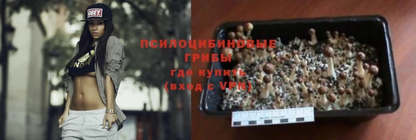 PSILOCYBIN Карпинск