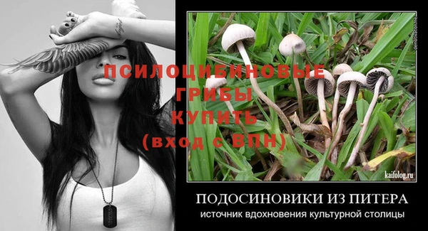 ПСИЛОЦИБИНОВЫЕ ГРИБЫ Киренск