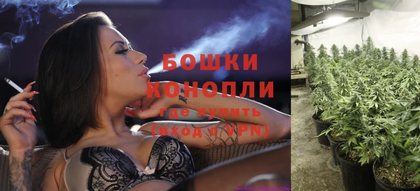 ГАЛЛЮЦИНОГЕННЫЕ ГРИБЫ Карталы