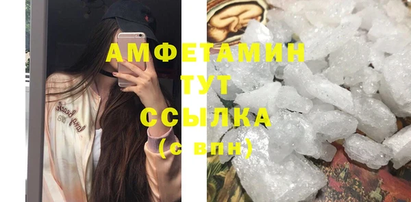 ГАЛЛЮЦИНОГЕННЫЕ ГРИБЫ Карталы