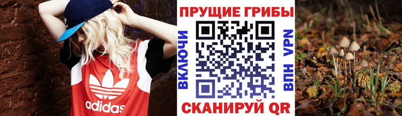 Псилоцибиновые грибы прущие грибы  Купить  Краснозаводск 